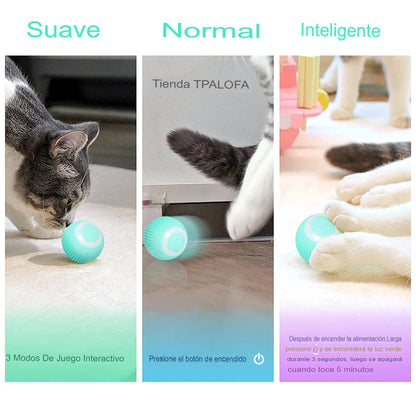 PlaySphere - Diversión infinita para tu gato