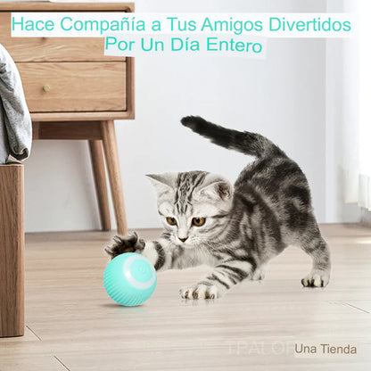 PlaySphere - Diversión infinita para tu gato