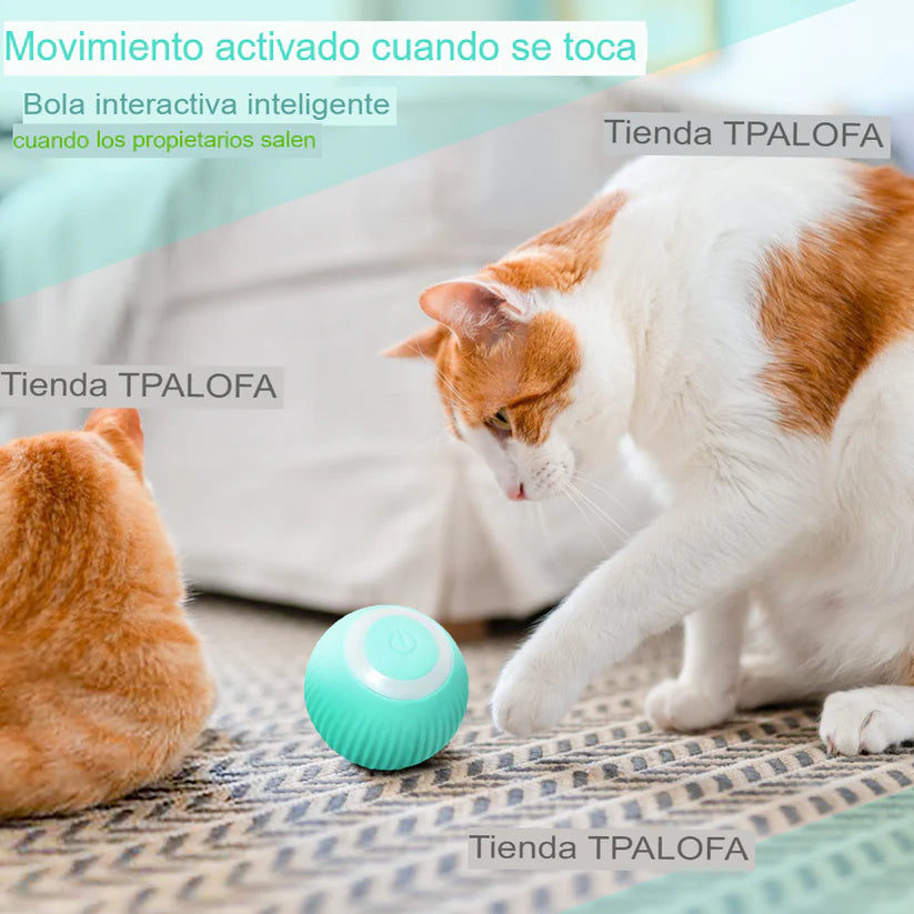 PlaySphere - Diversión infinita para tu gato